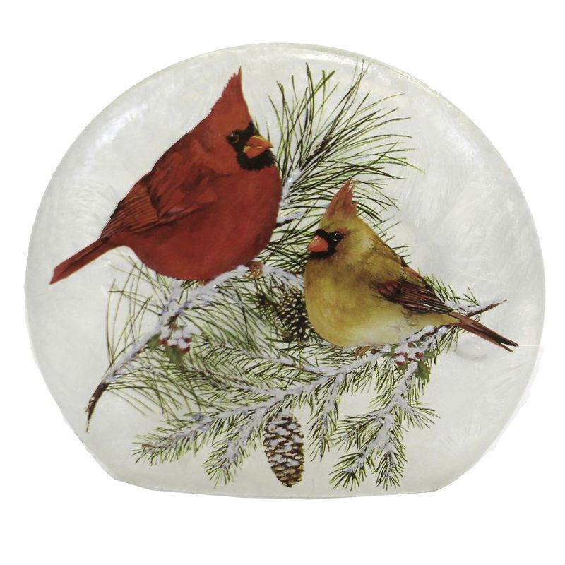 J. Hofert Co 25ct C7 Christmas String Lights Transparent Clear - 24' Green Wire