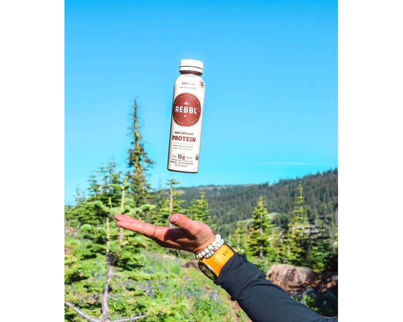 REBBL Plant Protein Power-Up Bundle - 16ct