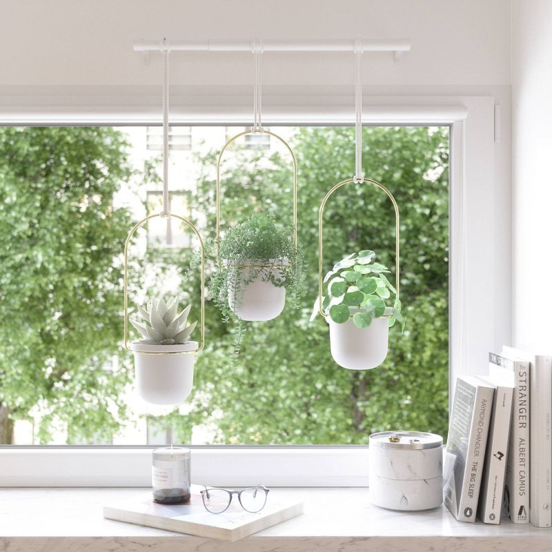Self-Watering Hanging Basket - Gardener's Supply Company