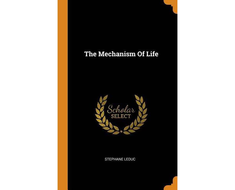 Casting Light on the Shadows - by  Bernd Horn & Tony Balasevicius (Paperback)