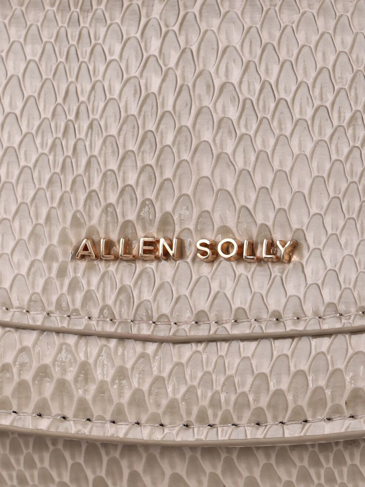 Allen Solly Beige Textured Wallet for women