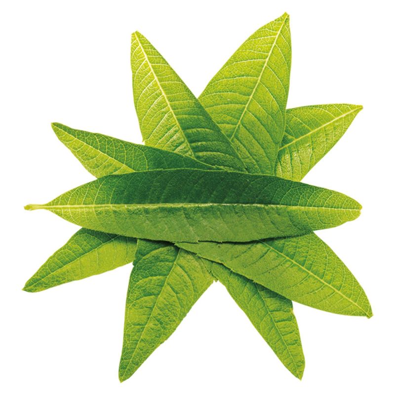 Tazo Zen Tea - Keurig K-Cup Pods - 16ct