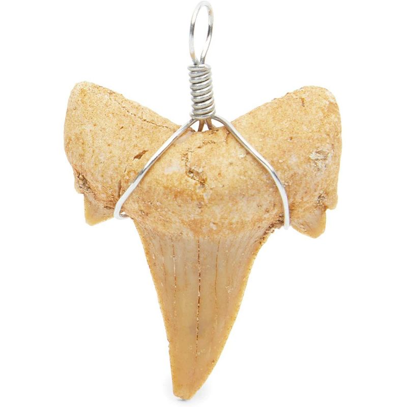 Zodaca 12 Pack Shark Fossil Tooth Pendant for Rustic Necklace, 1" x 0.8"