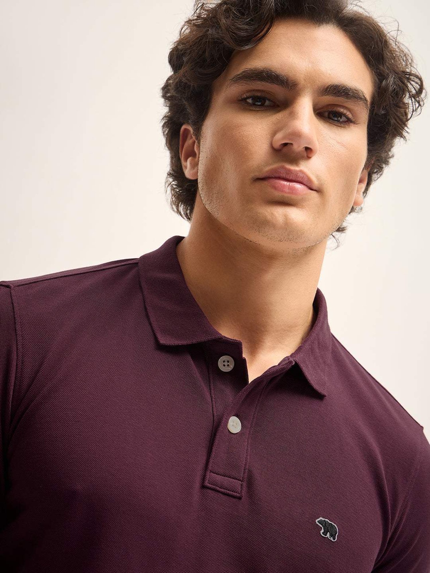The Bear House Purple Cotton Regular Fit Polo T-Shirt