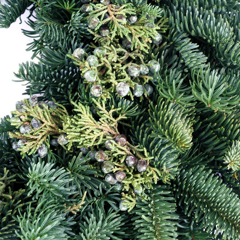 Live Fresh Cut Pacific Northwest Juniper 20" Wreath - Van Zyverden