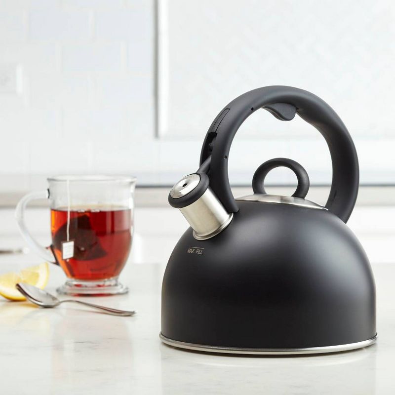 Mr. Coffee 2 Quart Stainless Steel Whistling Tea Kettle with Nylon Handle