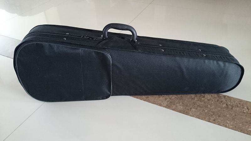 Student Acoustic Violin Full 4/4 Maple Spruce with Case Bow Rosin White Color