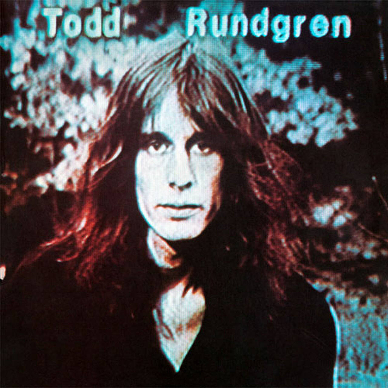 Todd Rundgren Hermit Of Mink Hollow 180g LP (Vinyl)