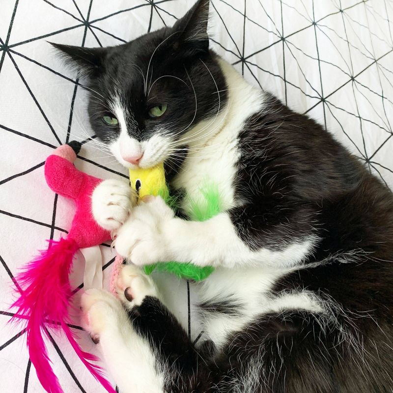 Premier Pet - RoloRat Automatic Cat Toy