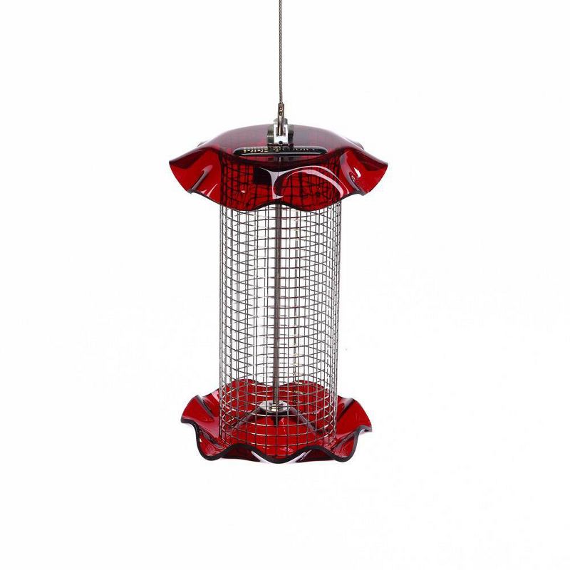 Birds Choice 1qt Forever Black Oil Sunflower Bird Feeder - Red
