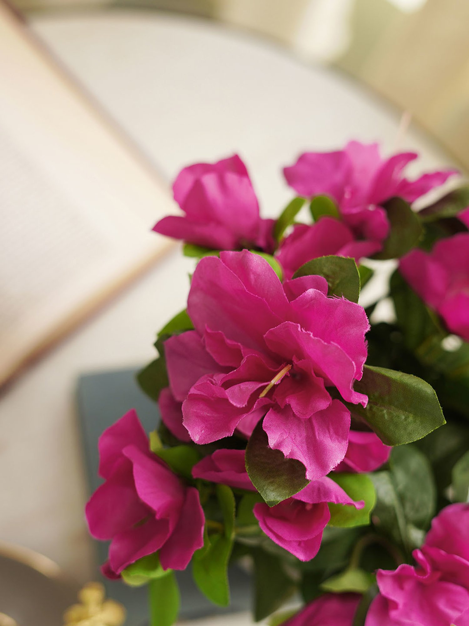 Pure Home and Living Pink Plastic Potted Plants