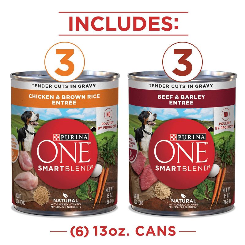Purina ONE SmartBlend Tender Cuts In Gravy Chicken & Beef Entrée Wet Dog Food - 13oz/6ct Variety Pack