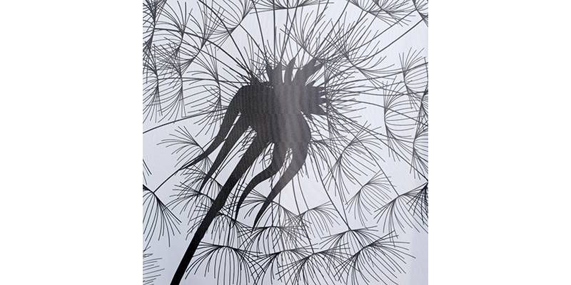 Dandelion Shower Curtain White/Gray - Moda at Home