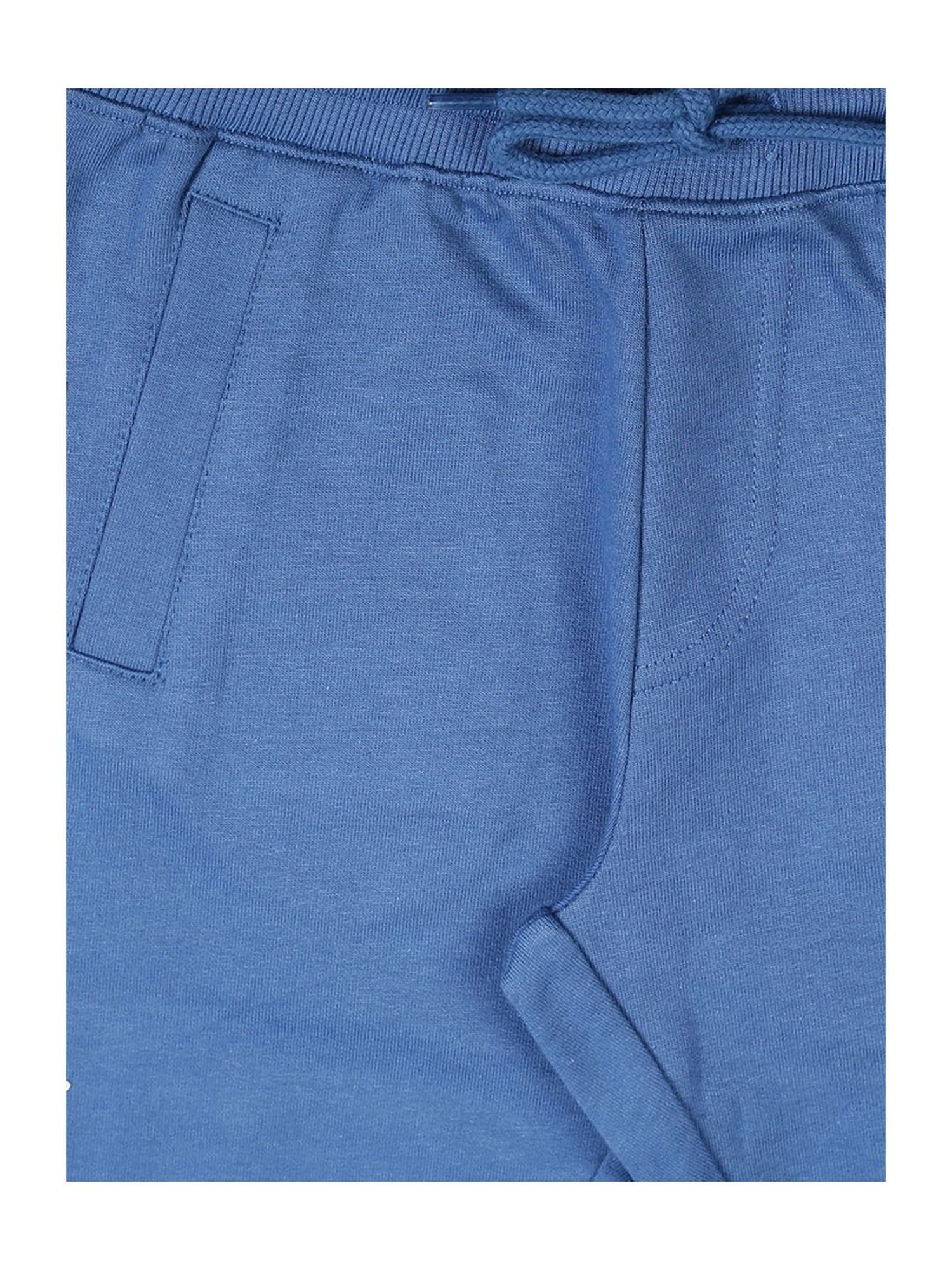 Plum Tree Boys Blue Printed Joggers