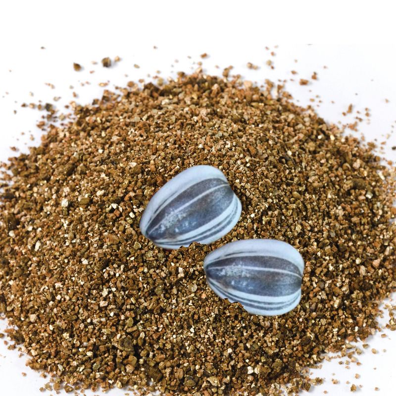 Sunflower Garden Kit - Creativity for Kids