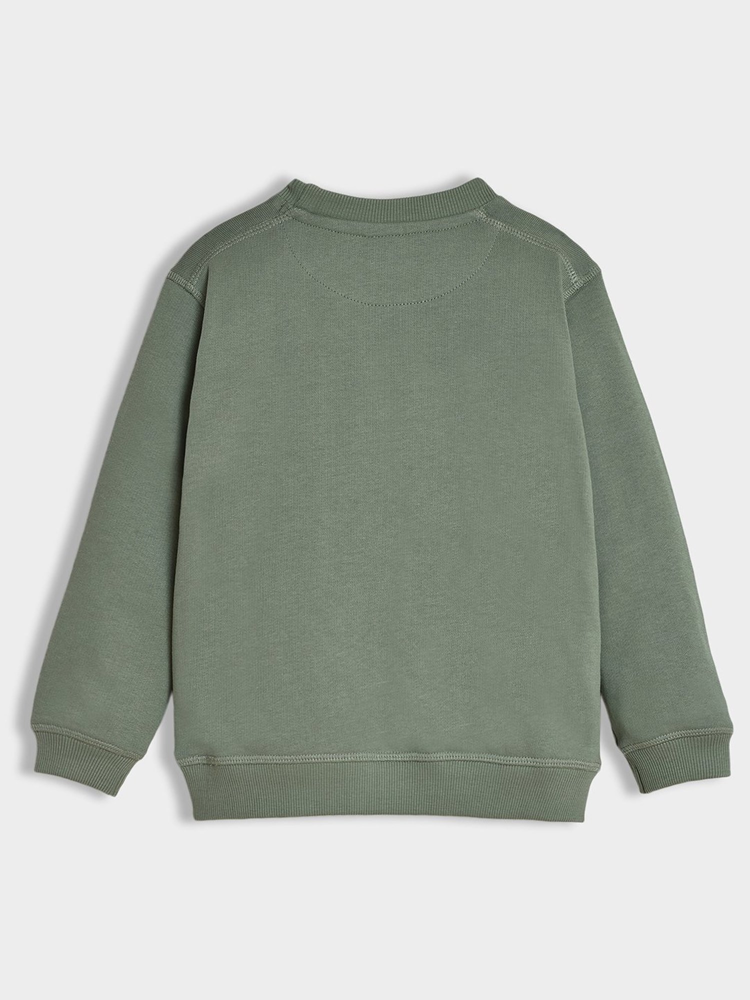 MiArcus Boys Green Printed Full Sleeves Sweatshirt