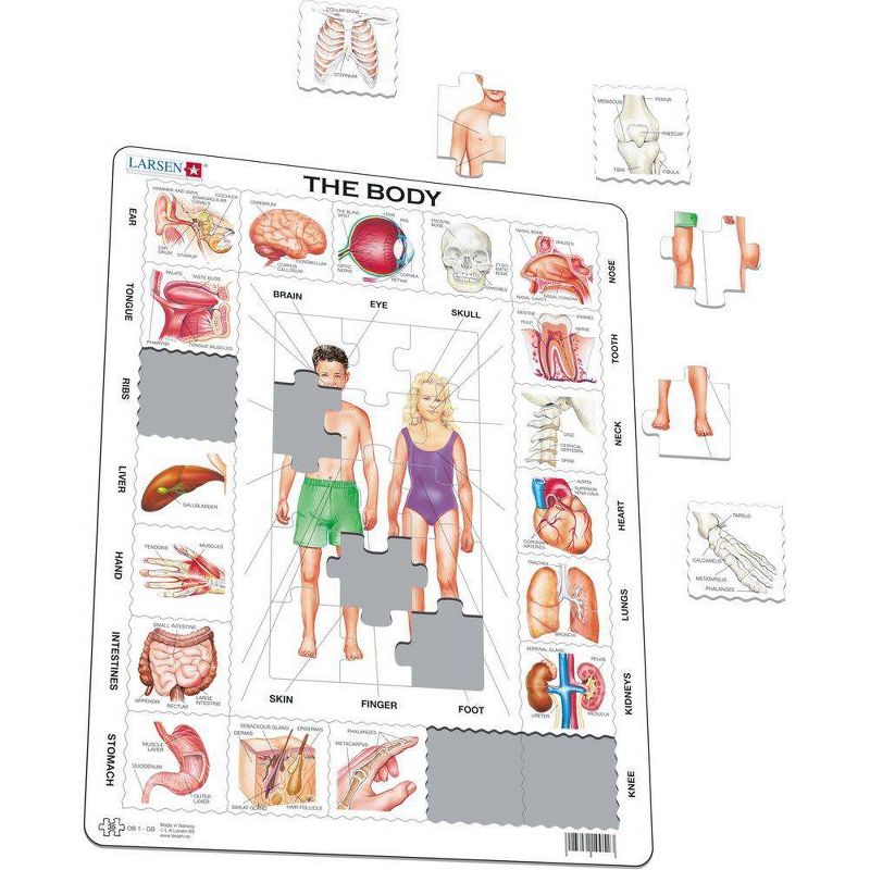 Larsen Puzzles The Body Kids Jigsaw Puzzle - 35pc