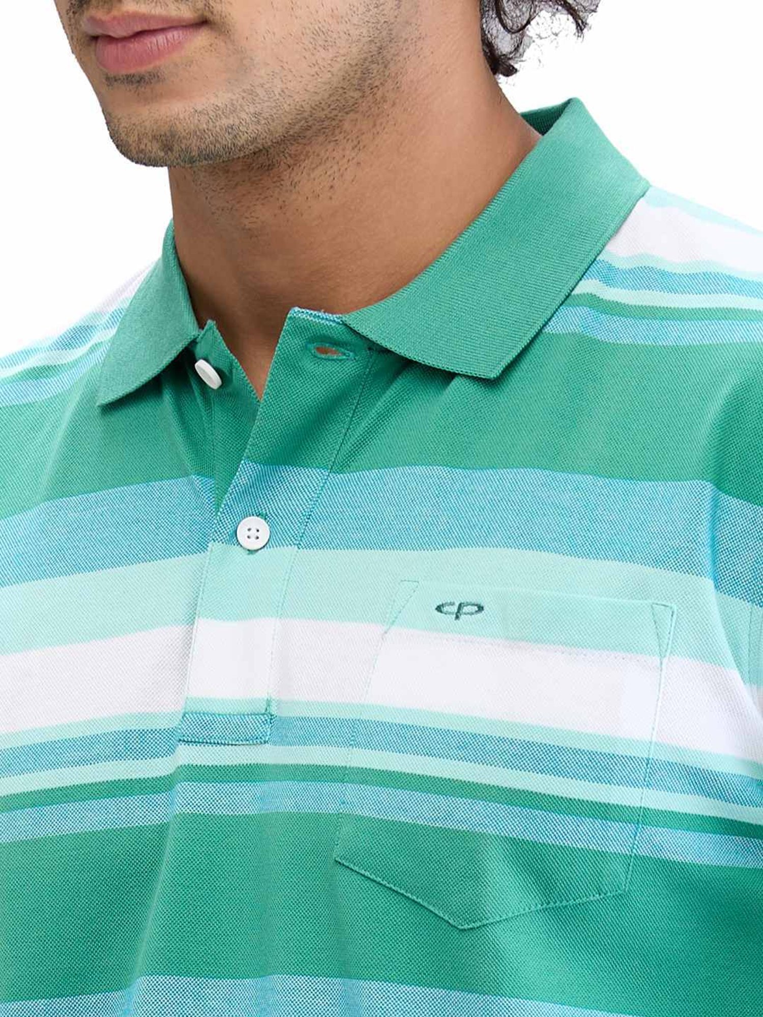 Colorplus Green Classic Fit Striped Polo T-Shirt