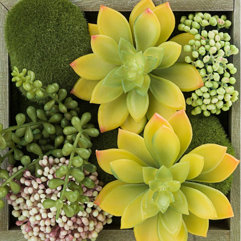 10" Indoor/Outdoor Wood Frame Plant Wall Art Décor - Alpine Corporation