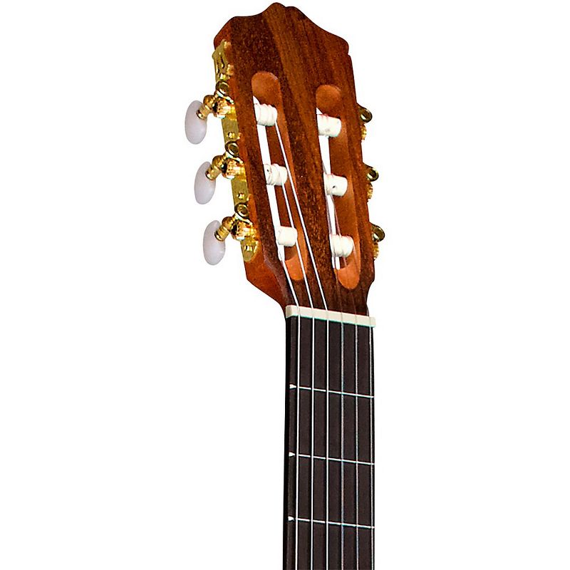 JN Guitars Elijah Series ELI-DCE Dreadnought Cutaway Acoustic-Electric