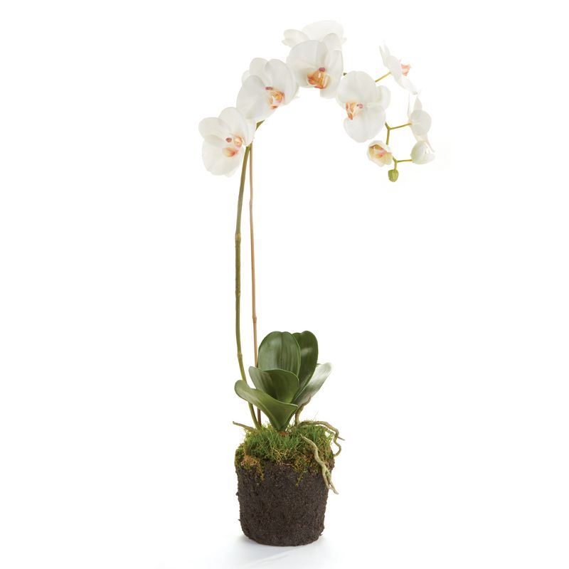 Plum & Post Phalaenopsis Orchid Faux (Fake) Drop-In 26"