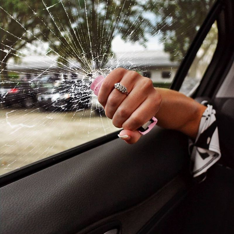 Guard Dog Security Harm and Hammer Pepper Spray Pink