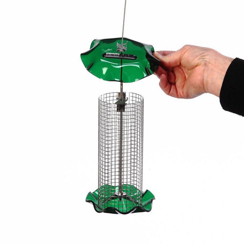 Birds Choice 1qt Sunflower Forever Bird Feeder - Green