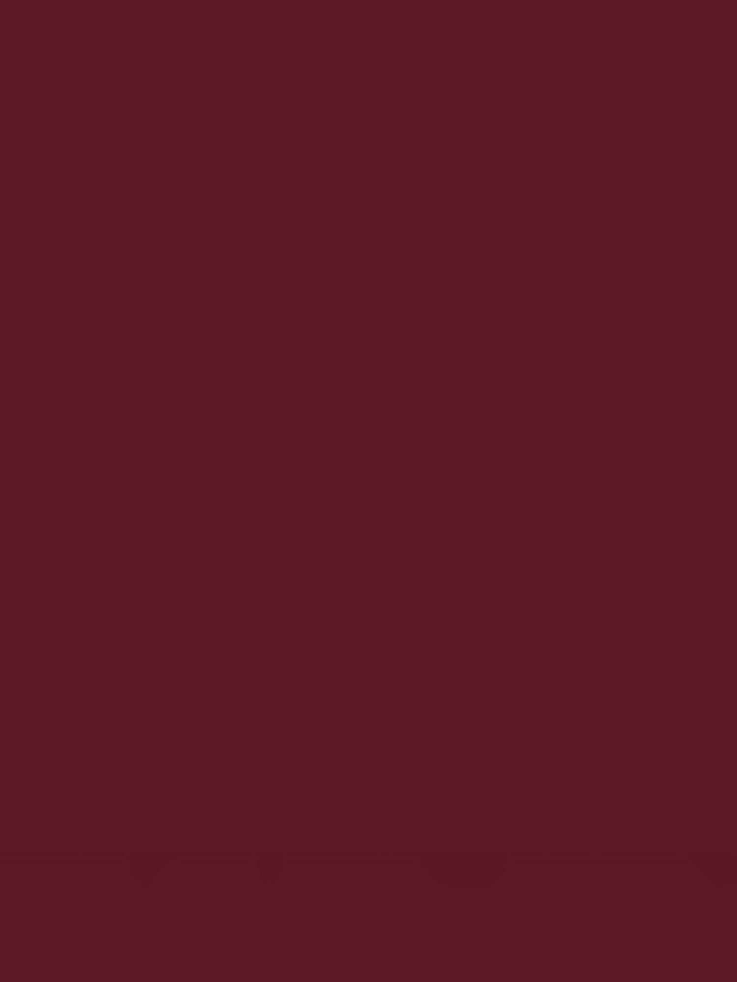 Matt Look Velvet Smooth Non Transfer Lipstick 05 Toast Roast - 2 gm