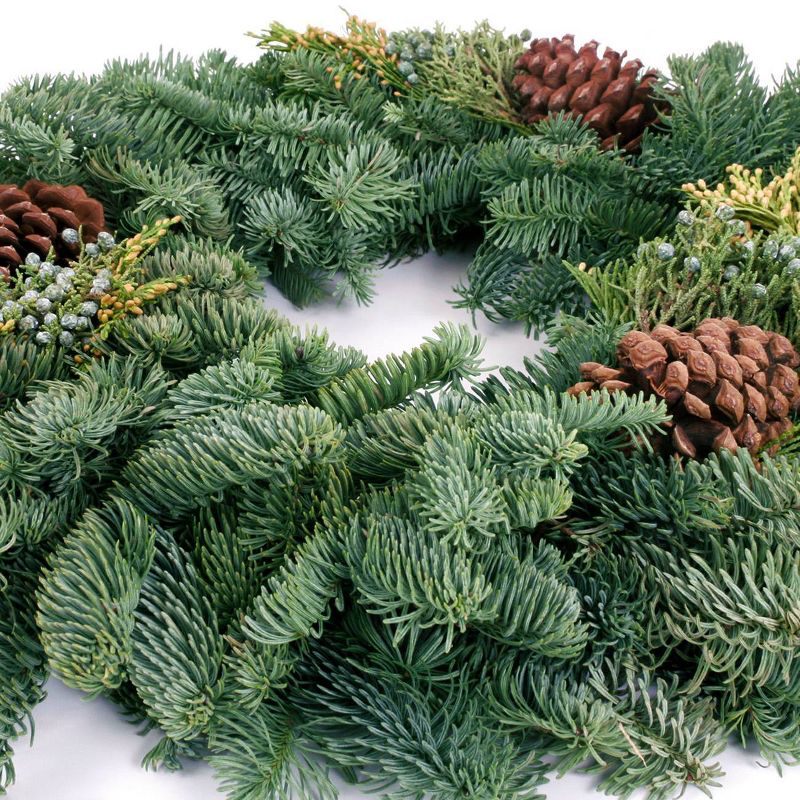Live Fresh Cut Pacific Northwest Mixed Wreath 20" Pine Cone Decorated - Van Zyverden