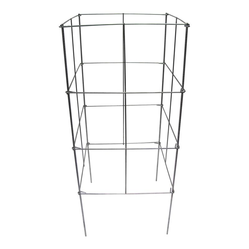 Disney Princess X POPSUGAR Moana Planters