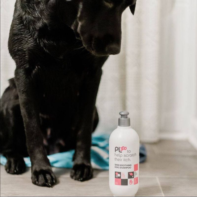PL360 Soothing Shampoo For Dogs - Honey Almond - 16oz