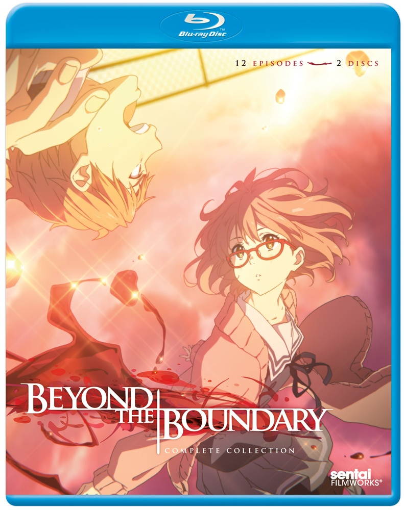 BEYOND THE BOUNDARY