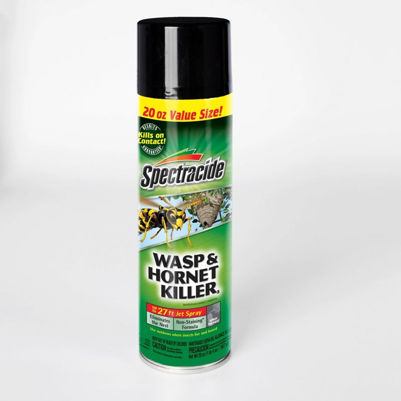 20oz Wasp & Hornet Killer Aerosol - Spectracide