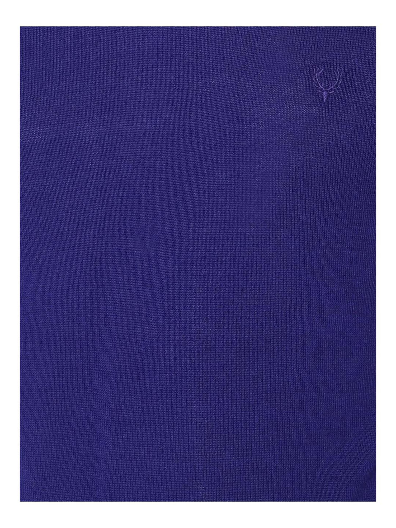 Allen Solly Blue Regular Fit Sweater