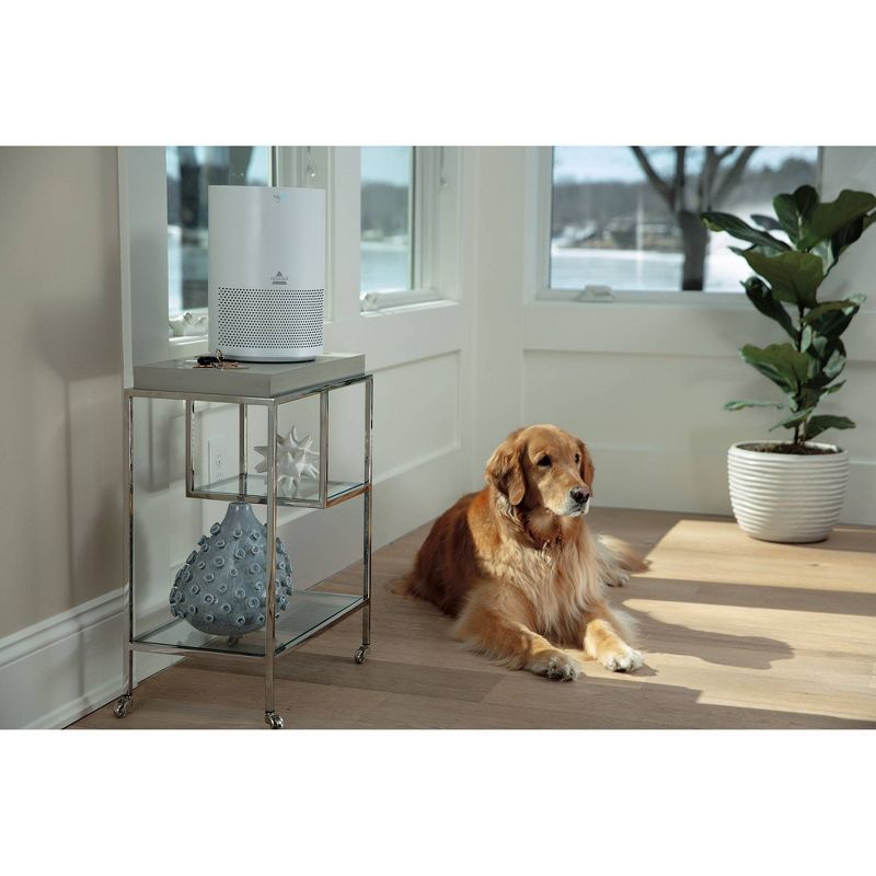 Bissell My Air Personal Air Purifiers White