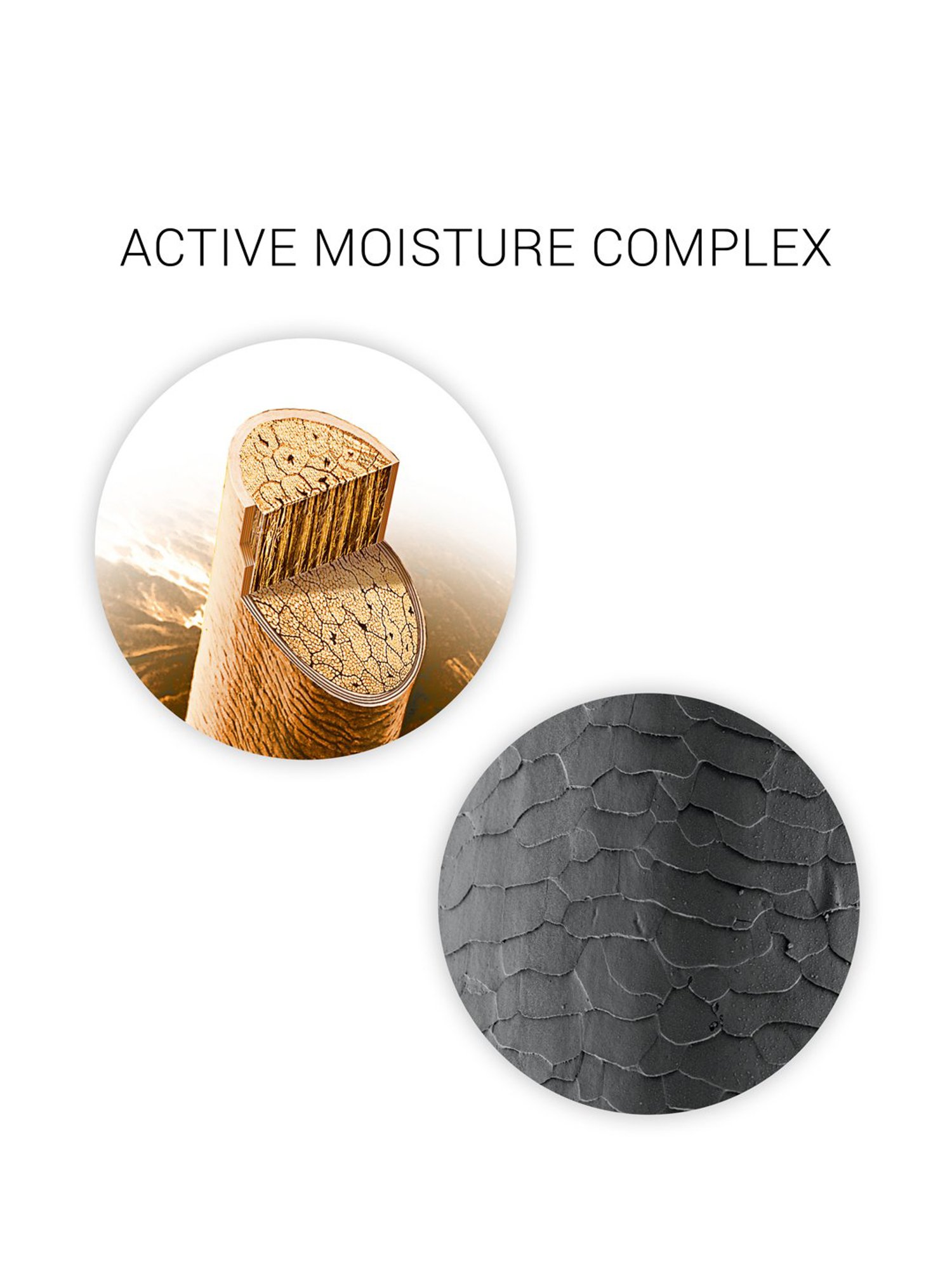 Wella Professionals SP Hydrate Conditioner - 200 ml