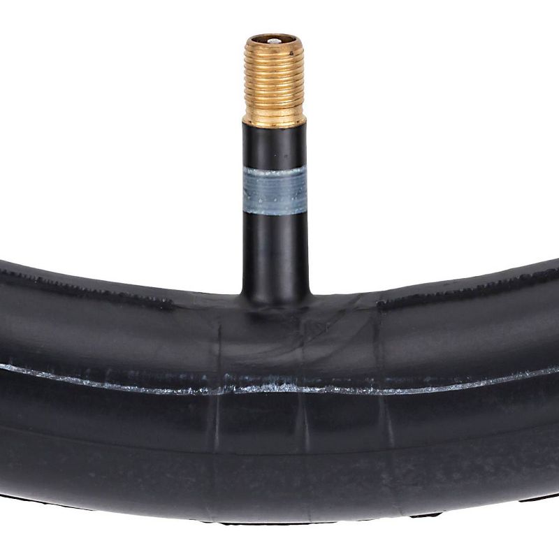 Schwinn 16" Bike Tire Tube