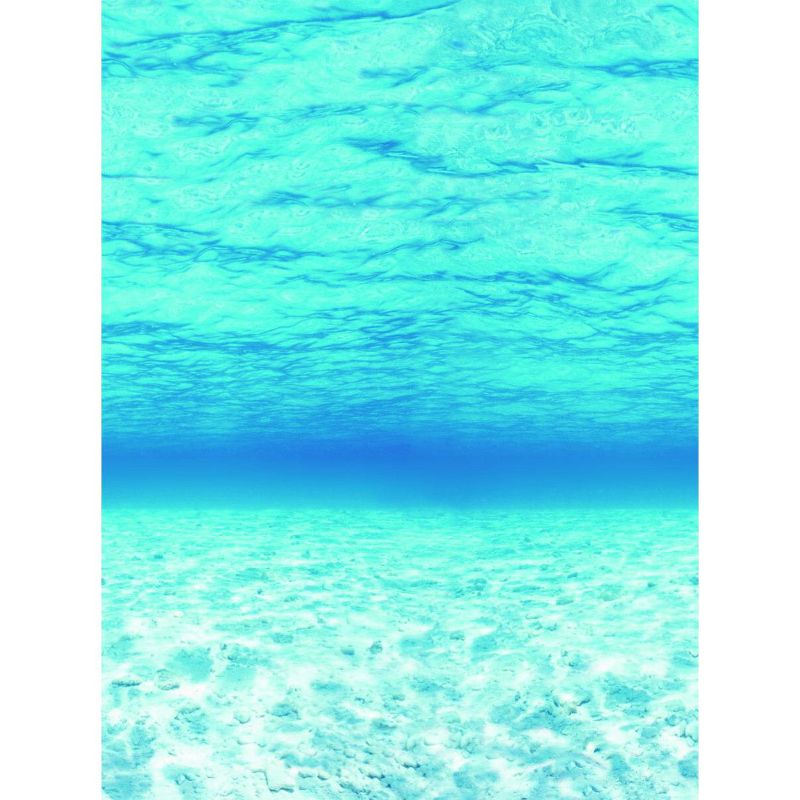 Fadeless Designs Paper Roll, Under the Sea, 48 Inches x 12 Feet