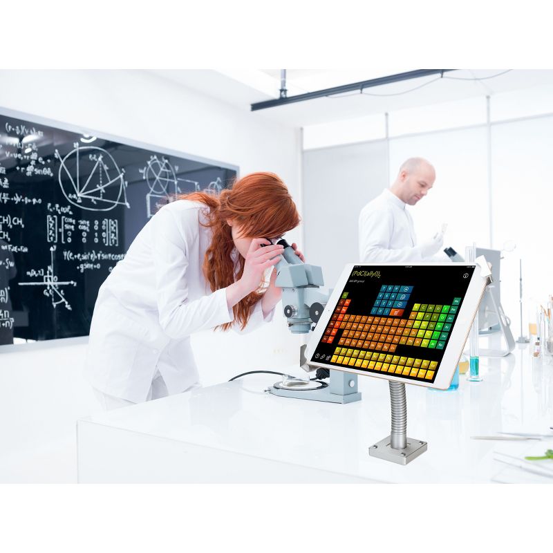 CTA Digital Security Gooseneck Table Wall Mount 7-13In Tablets - 13" Screen Support