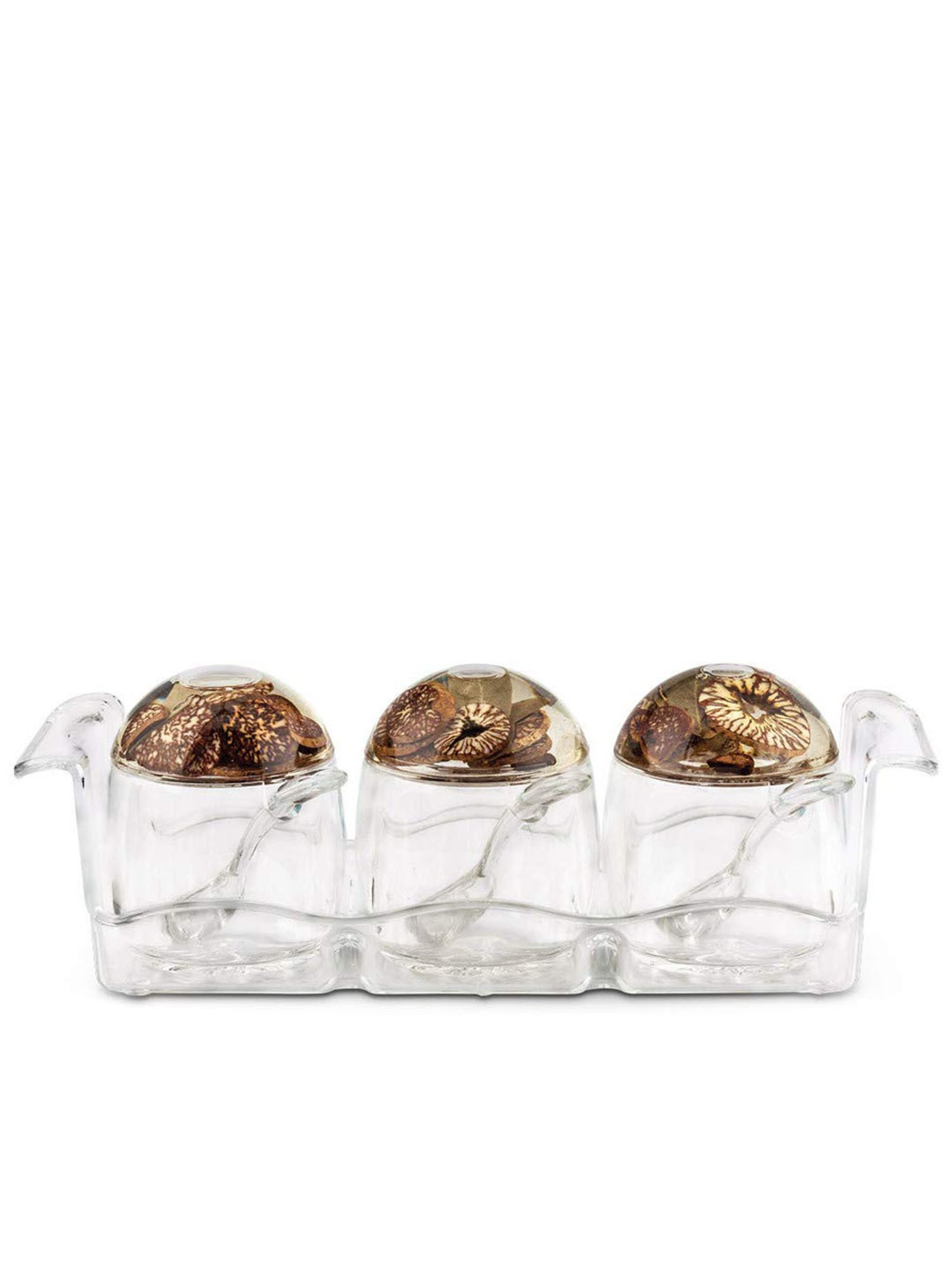 Freelance Brown Acrylic Set of 3 Jars and Container