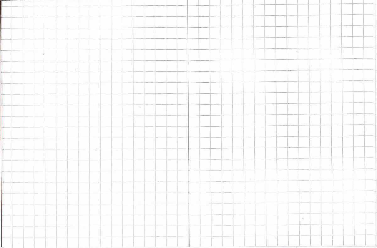 Rhino Exercise Book, 9 x 7 Inches, 48 page, 10mm squares, Red Cover (Pack of 10)