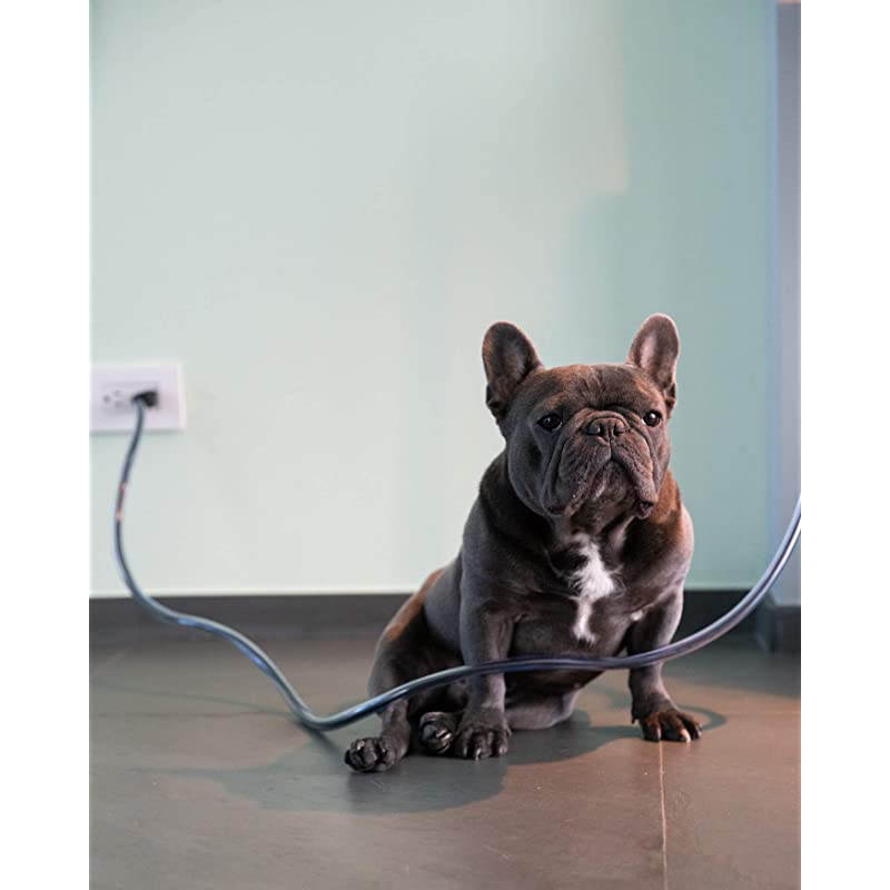 Dog and Cat Cord Protector Protects Your Pets from Chewing Through Insulated Cables up to 10ft Unscented Odorless