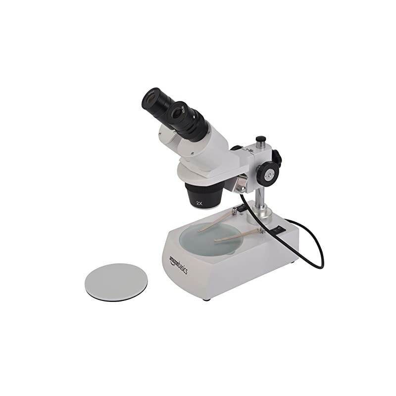 Basics Forward-Mounted Binocular Stereo Microscope, WF20x Eyepieces, 40X and 80X Magnification, 2X and 4X Objectives