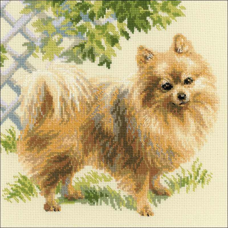RIOLIS Counted Cross Stitch Kit 9.75"X9.75"-Pomeranian (14 Count)