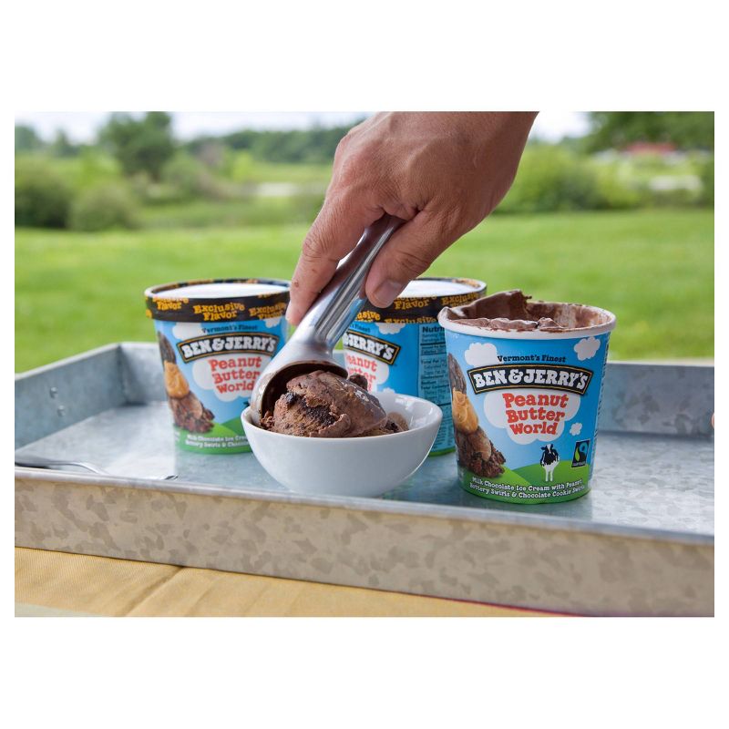 Ben & Jerry's Peanut Butter World Ice Cream - 16oz