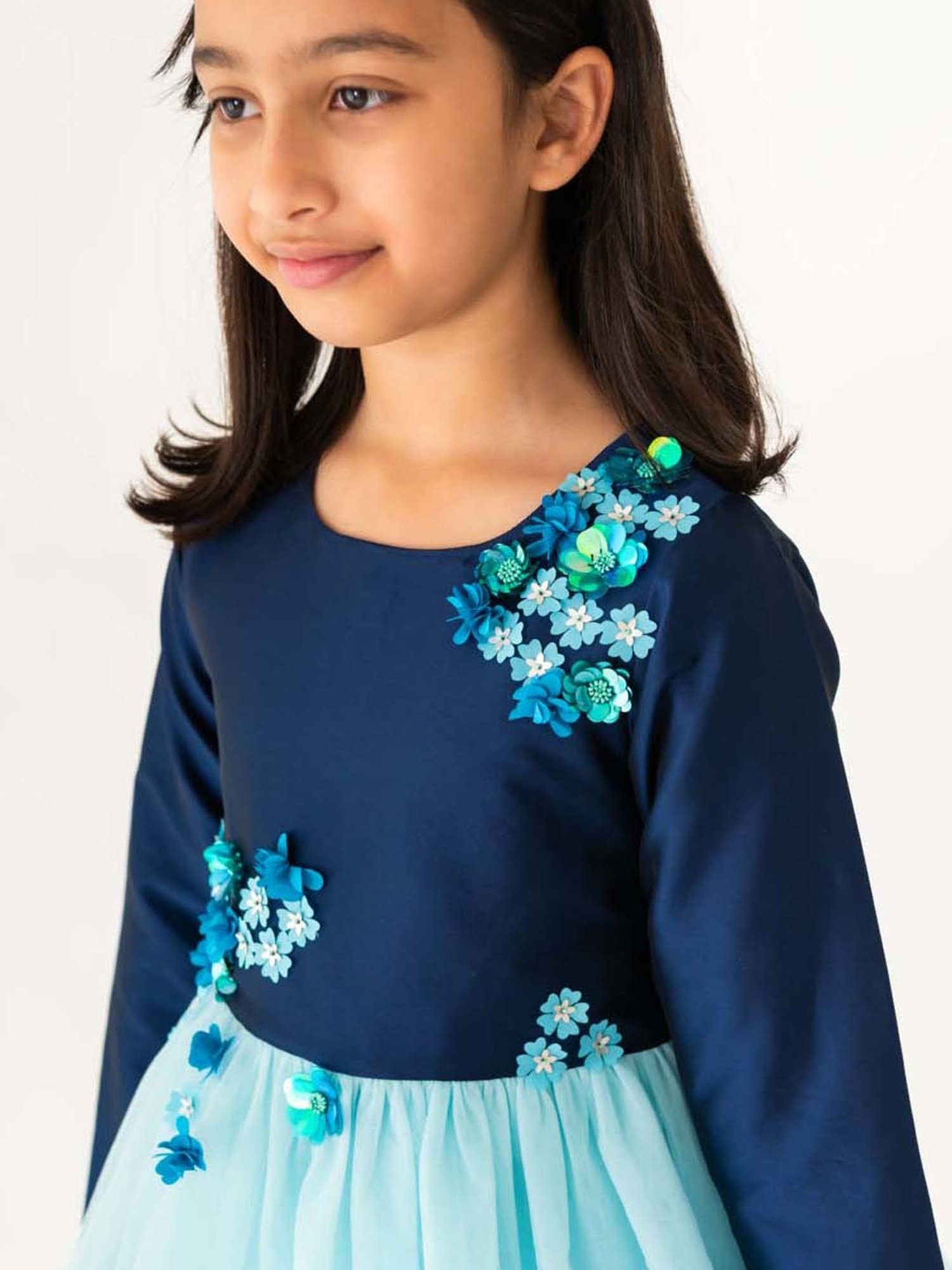 A Little Fable Blue Applique Full Sleeves Dress