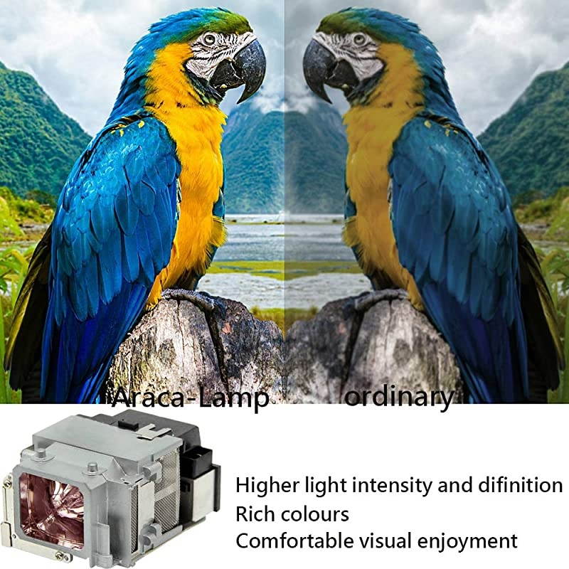 ELPLP65 Projector Lamp with Housing for Epson EB1760W 1761W 1751 1771W PowerLite 1776W PowerLite 1761W PowerLite 1771W 1750 1775W Replacement Projector Lamp