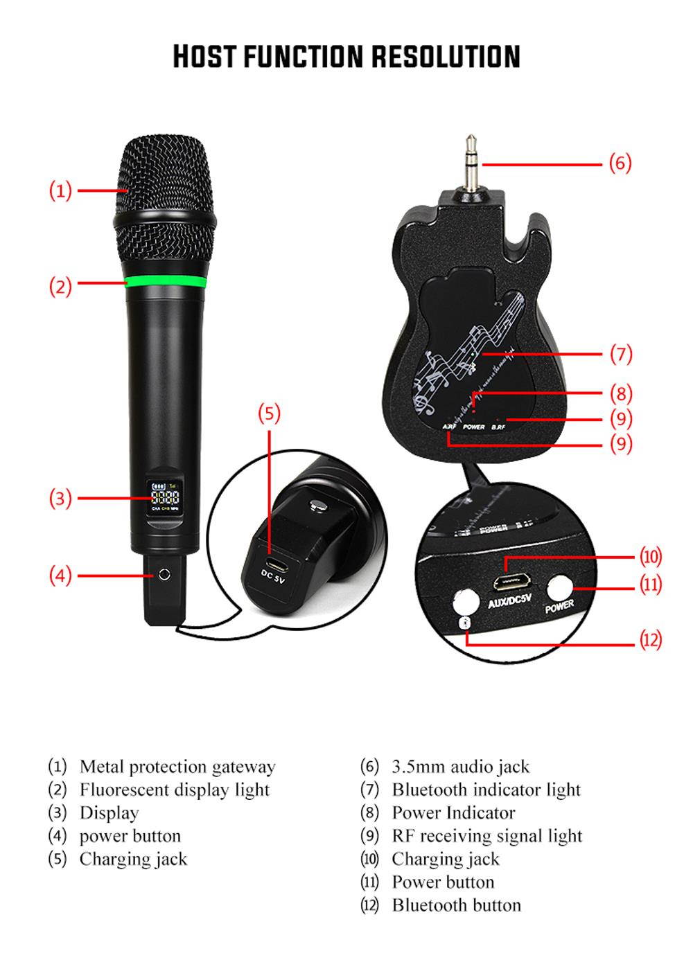 Wireless Dual Microphone Electrit Condenser Microphone Handy Microphone