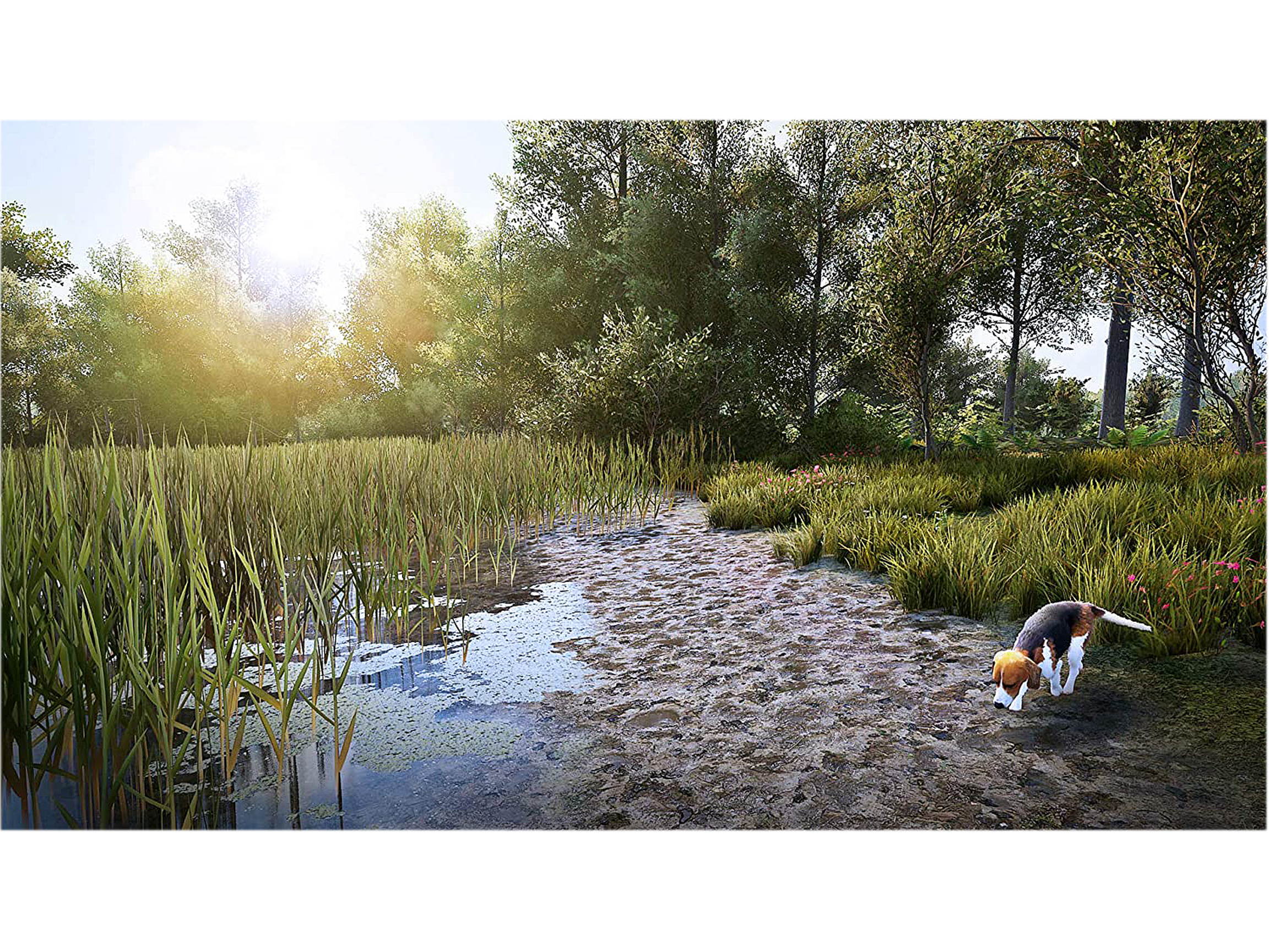 Hunting Simulator 2 - PS5 Video Games