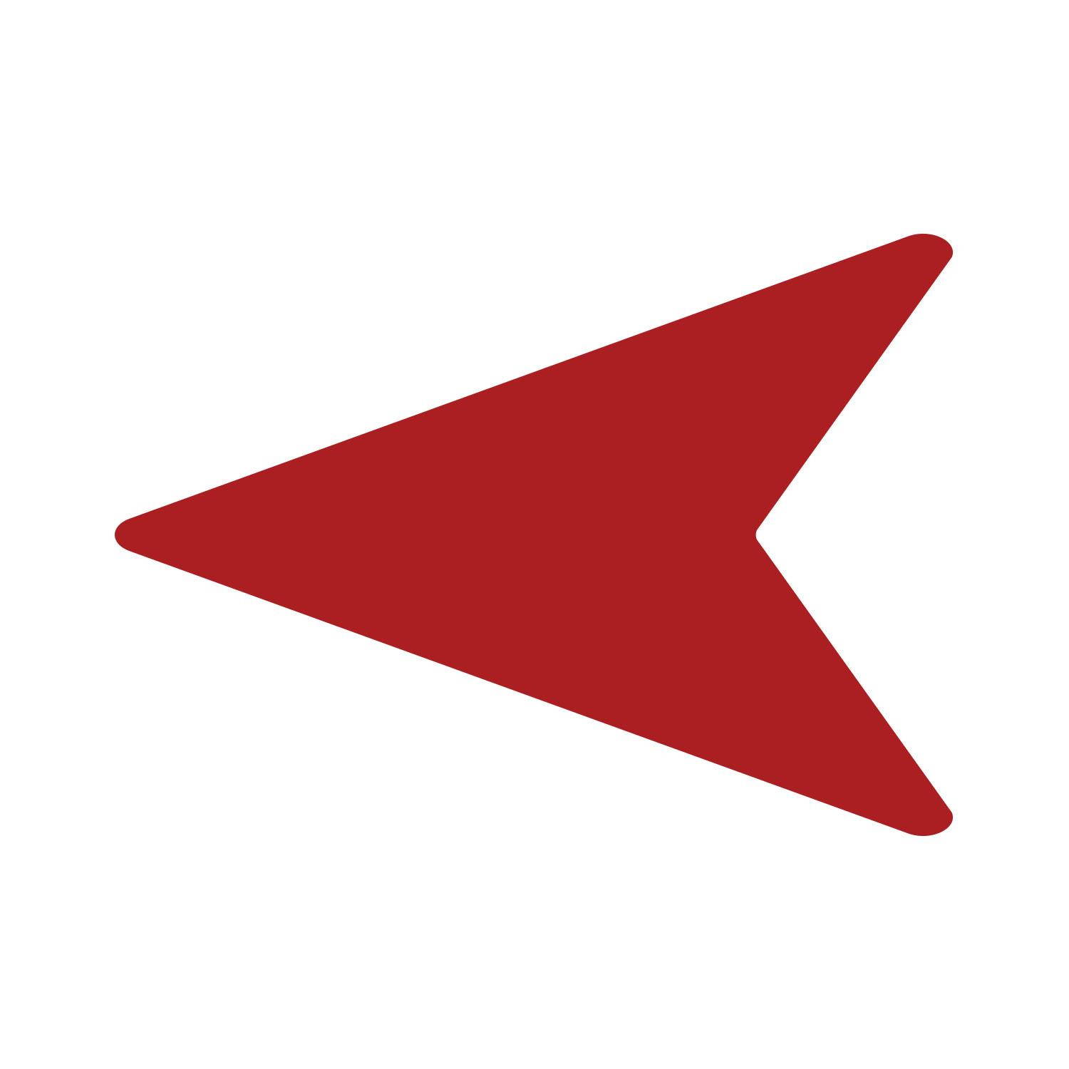 LiteMark 5 Inch Purple Removable Flying V Arrow Decals - Pack of 16